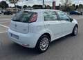 Fiat Punto Punto III 2012 5p 1.3 mjt II 16v Lounge 75cv my13 Blanc - thumbnail 5