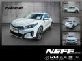 Kia XCeed 1.0 T-GDI Vision ACC Navi FLA SpurH LM Bianco - thumbnail 1