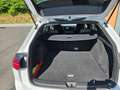 Volkswagen Golf Variant R-Line eTSI DSG R-line Weiß - thumbnail 13