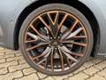 CUPRA Leon SP VZ 2.0 TSI DSG AHK eSITZ MATT PANO Grijs - thumbnail 10