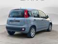 Fiat Panda 1.0 FireFly Gris - thumbnail 6
