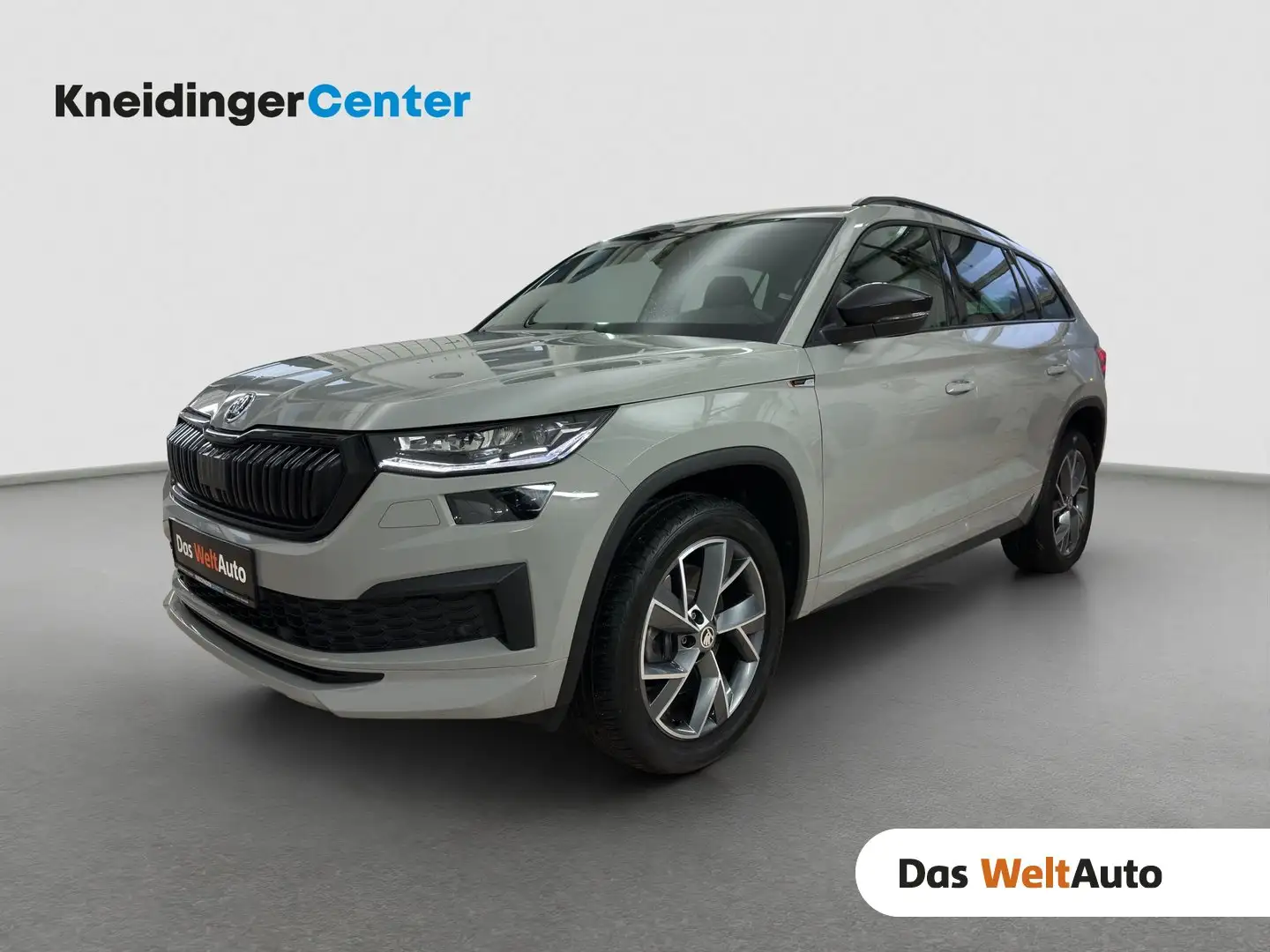 Skoda Kodiaq 4x4 SPORTLINE TDI DSG Grau - 1