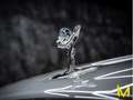 Rolls-Royce Cullinan SERIES II BESPOKE|SHOOTING|REAR|MY2026| Grau - thumbnail 13