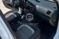 Kia Ceed / cee'd cee'd 1.4 ECO GPL 5 porte Active Bianco - thumbnail 13