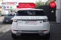 Land Rover Range Rover Evoque Range Rover Evoque 2.2 TD4 5p. Prestige Unicoprop Bianco - thumbnail 8