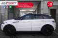 Land Rover Range Rover Evoque Range Rover Evoque 2.2 TD4 5p. Prestige Unicoprop Bianco - thumbnail 4