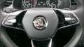 Skoda Kamiq 1.0 tsi Ambition 110cv dsg Grigio - thumbnail 8