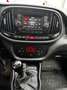 Fiat Doblo Doblo Cargo 1.3 Multijet Cargo MAXI Weiß - thumbnail 8