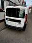 Fiat Doblo Doblo Cargo 1.3 Multijet Cargo MAXI Weiß - thumbnail 4