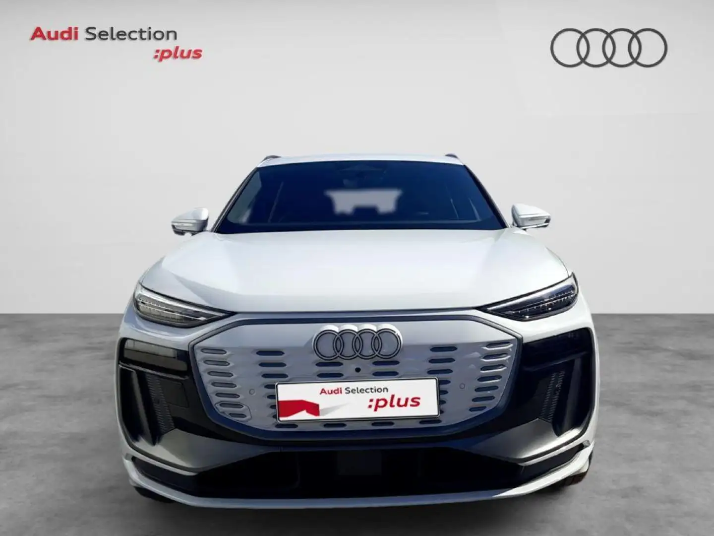 Audi QUATTRO Advanced 100KWh - 2