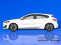Ford Focus Titanium | Sitzheizung | Kamera | Navi |LED Weiß - thumbnail 8