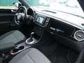 Volkswagen Beetle Lim. Design BMT DSG Schwarz - thumbnail 11