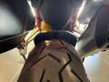 Ducati 1160 S Travel&Radar Aviator Grey - thumbnail 14