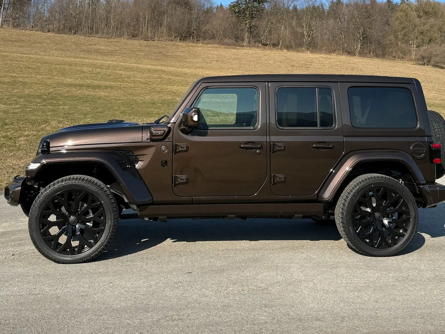 Jeep Wrangler BRUTE RICHMOND Braun - 1