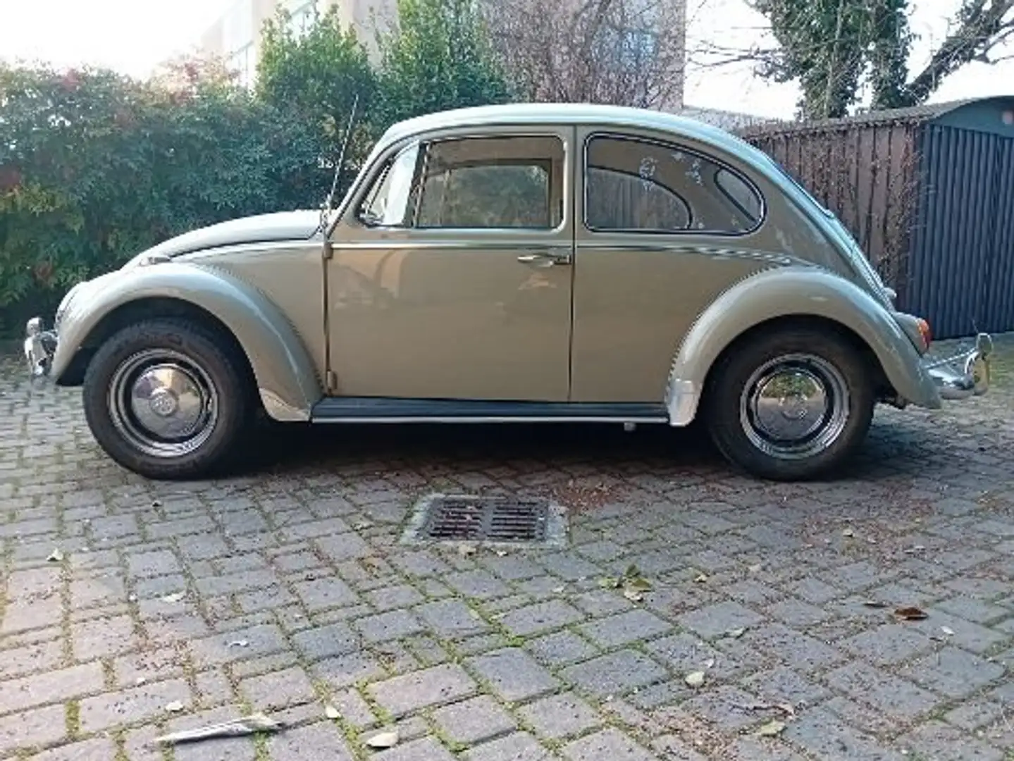 Volkswagen Käfer 1300 bež - 2