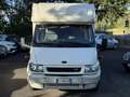 Ford Transit Camper Rimor Sailer 135 T350 Bianco - thumbnail 2