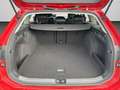 Volkswagen Passat Variant Business 2.0 TDI DSG | 17" mit Ga Rot - thumbnail 16