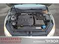 Volkswagen Golf Variant VII Variant 1.6 TDI Cup LM Navi Pano ACC - thumbnail 14
