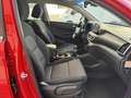 Hyundai TUCSON 1.6CRDI 48V Tecno 4x2 - thumbnail 18