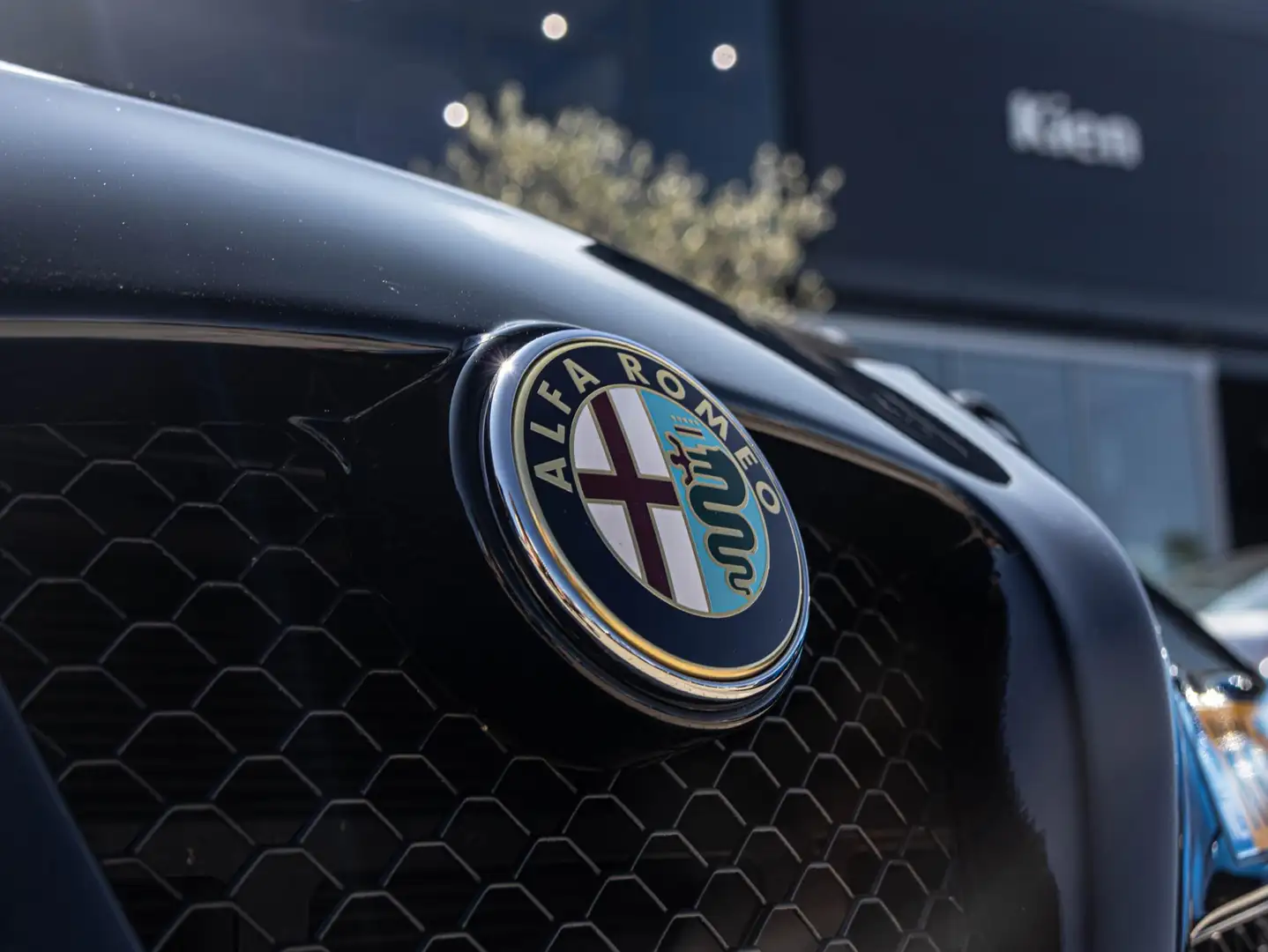 Alfa Romeo 4C 1750TBI TCT | Volledige onderhoud historie | 240 P Schwarz - 2
