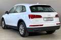 Audi Q5 35 TDI MHEV S tronic Business Bianco - thumbnail 9