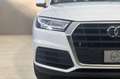 Audi Q5 35 TDI MHEV S tronic Business Bianco - thumbnail 11