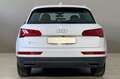 Audi Q5 35 TDI MHEV S tronic Business Bianco - thumbnail 8
