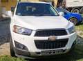 Chevrolet Captiva Captiva LTZ 2,2 4WD Aut. LTZ Bílá - thumbnail 4