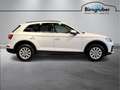 Audi Q5 40 TDI quattro intense Blanc - thumbnail 3