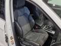Audi Q5 40 TDI quattro intense Blanc - thumbnail 13