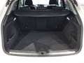 Audi Q5 40 TDI quattro intense Blanc - thumbnail 15