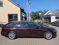 Audi A6 Avant 40 TDI design 2.0 S-tronic,AHK Rot - thumbnail 6