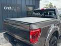 Ford F 150 F150 5.0L V8 4x4 Offroad SuperCrew RAPTOR 19% Maro - thumbnail 8