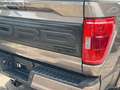 Ford F 150 F150 5.0L V8 4x4 Offroad SuperCrew RAPTOR 19% Maro - thumbnail 9