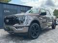 Ford F 150 F150 5.0L V8 4x4 Offroad SuperCrew RAPTOR 19% Maro - thumbnail 1