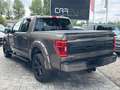 Ford F 150 F150 5.0L V8 4x4 Offroad SuperCrew RAPTOR 19% Maro - thumbnail 11