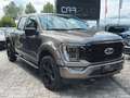 Ford F 150 F150 5.0L V8 4x4 Offroad SuperCrew RAPTOR 19% Maro - thumbnail 6