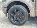 Ford F 150 F150 5.0L V8 4x4 Offroad SuperCrew RAPTOR 19% Maro - thumbnail 13