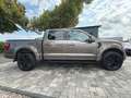 Ford F 150 F150 5.0L V8 4x4 Offroad SuperCrew RAPTOR 19% Maro - thumbnail 14