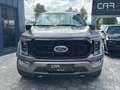 Ford F 150 F150 5.0L V8 4x4 Offroad SuperCrew RAPTOR 19% Maro - thumbnail 4