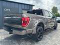 Ford F 150 F150 5.0L V8 4x4 Offroad SuperCrew RAPTOR 19% Maro - thumbnail 7