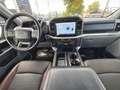 Ford F 150 F150 5.0L V8 4x4 Offroad SuperCrew RAPTOR 19% Marrón - thumbnail 17