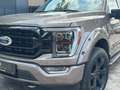 Ford F 150 F150 5.0L V8 4x4 Offroad SuperCrew RAPTOR 19% Maro - thumbnail 3