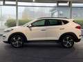 Hyundai TUCSON 1.6 T-GDI Premium 4WD*PANO*LEDER*LED* Weiß - thumbnail 4