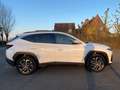Hyundai TUCSON Shine Sensation  - hybride automaat - Full Option Blanc - thumbnail 11