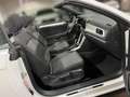 Volkswagen T-Roc 1.5 TSI Style Move DSG Weiß - thumbnail 17