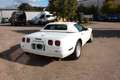 Corvette C4 Cabrio Automatik Blanc - thumbnail 5