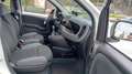 Fiat Panda 0.9 TwinAir Turbo S&S 4x4 Blanc - thumbnail 8