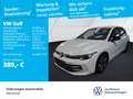 Volkswagen Golf VIII 1.5 eTSI DSG Goal Navi AHK LED DigCock Weiß - thumbnail 1