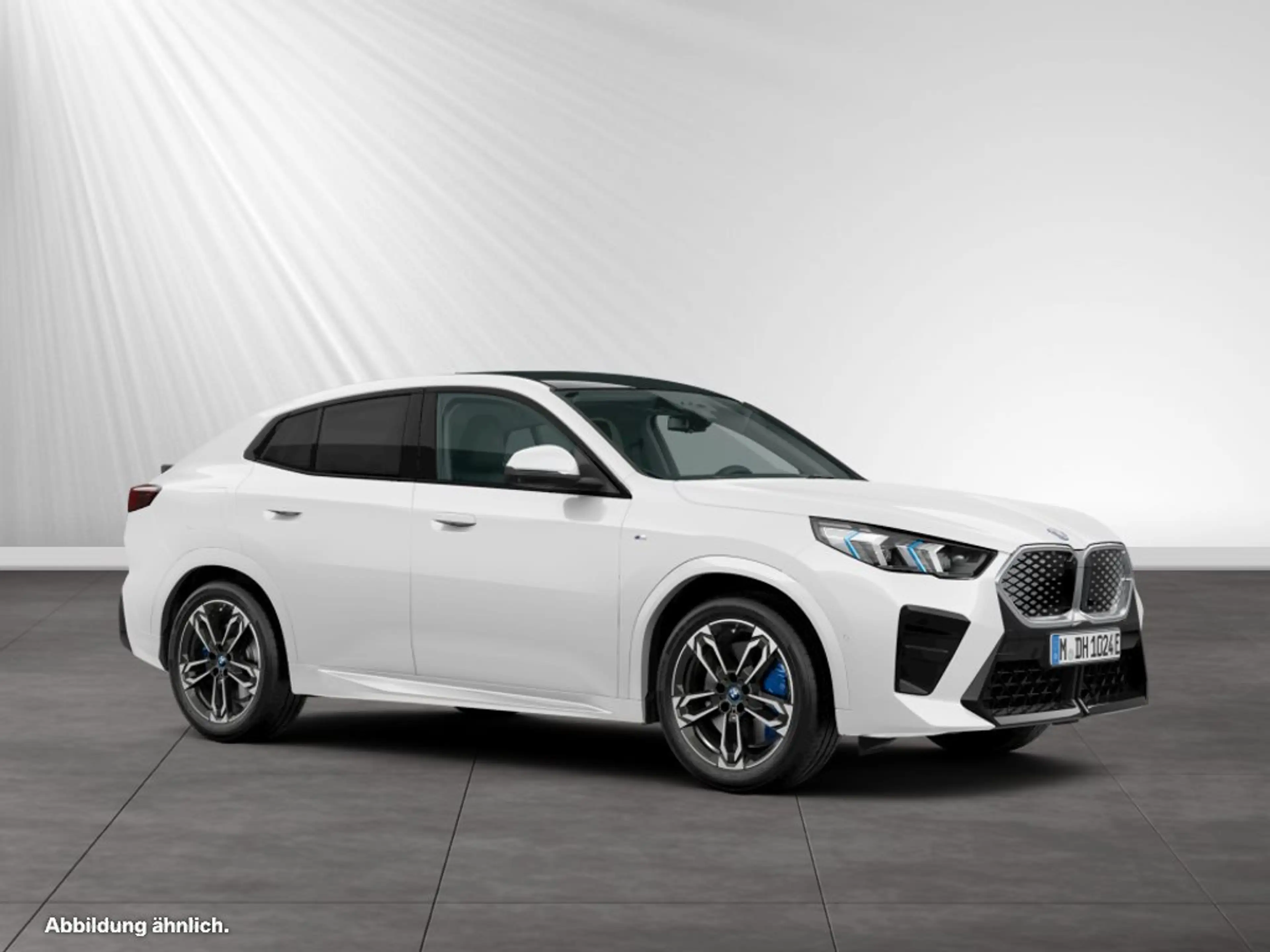 BMW iX2 xDrive30 M Sport|Panorama|Head-Up|DA+|H/K — photo 12